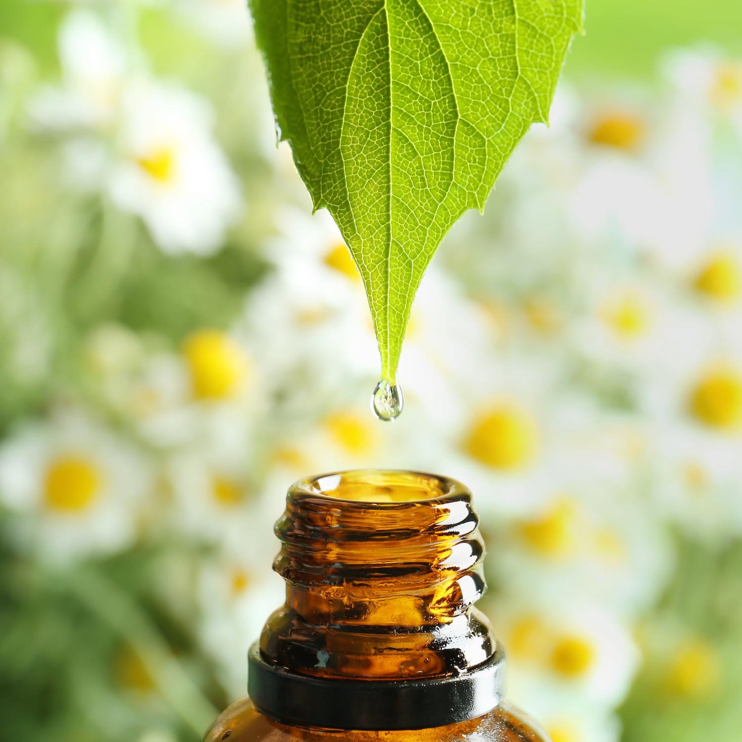 aromatherapie-pharmacie-rouxel-coex