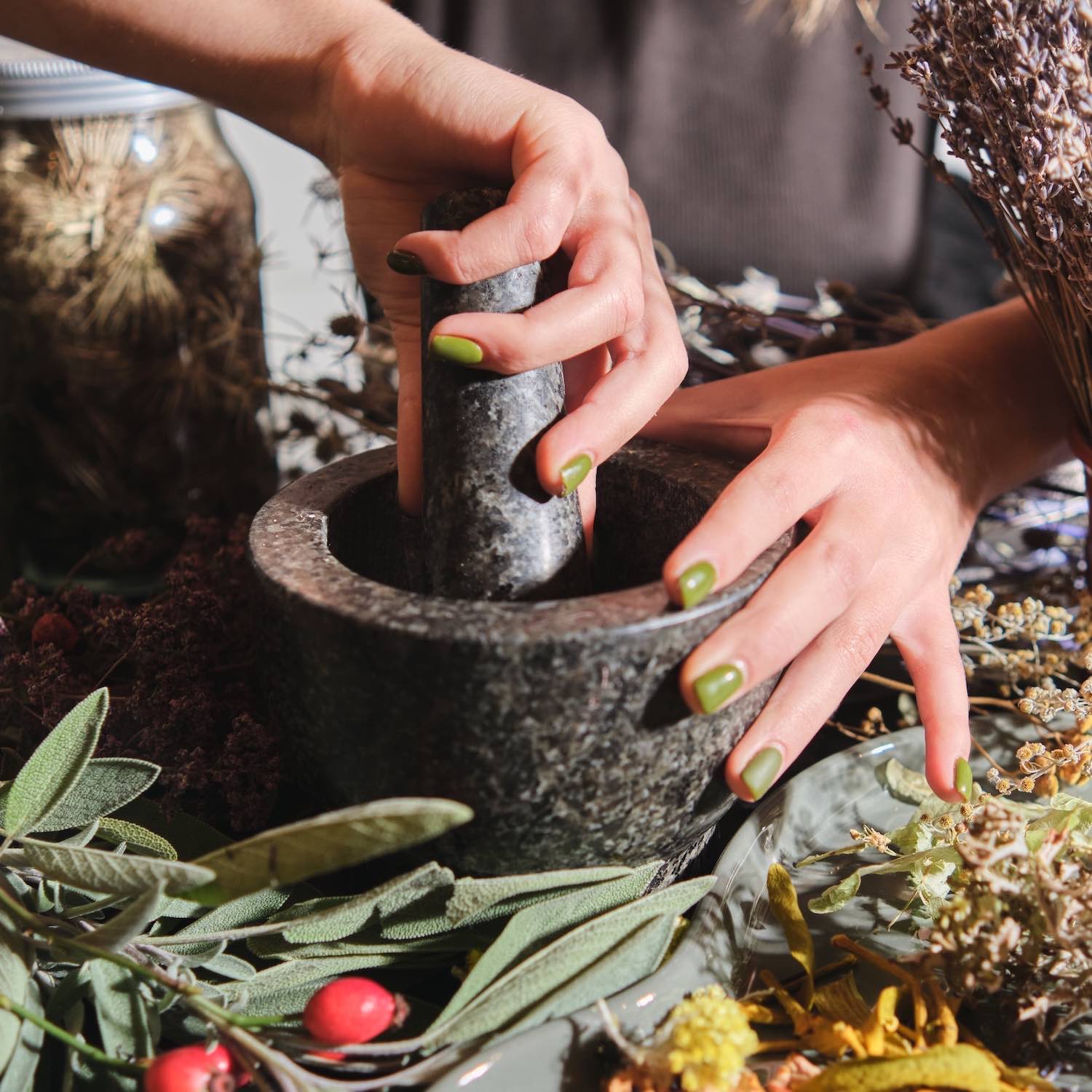 phytotherapie-pharmacie-rouxel-coex